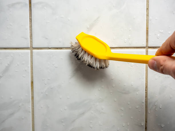 Best Fast Mold Removal  in Haliimaile, HI